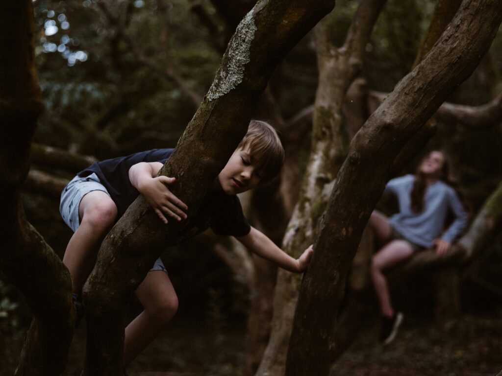 annie-spratt--JUIieIDu54-unsplash Annie Spratt JUIieIDu54 Unsplash 1024x768