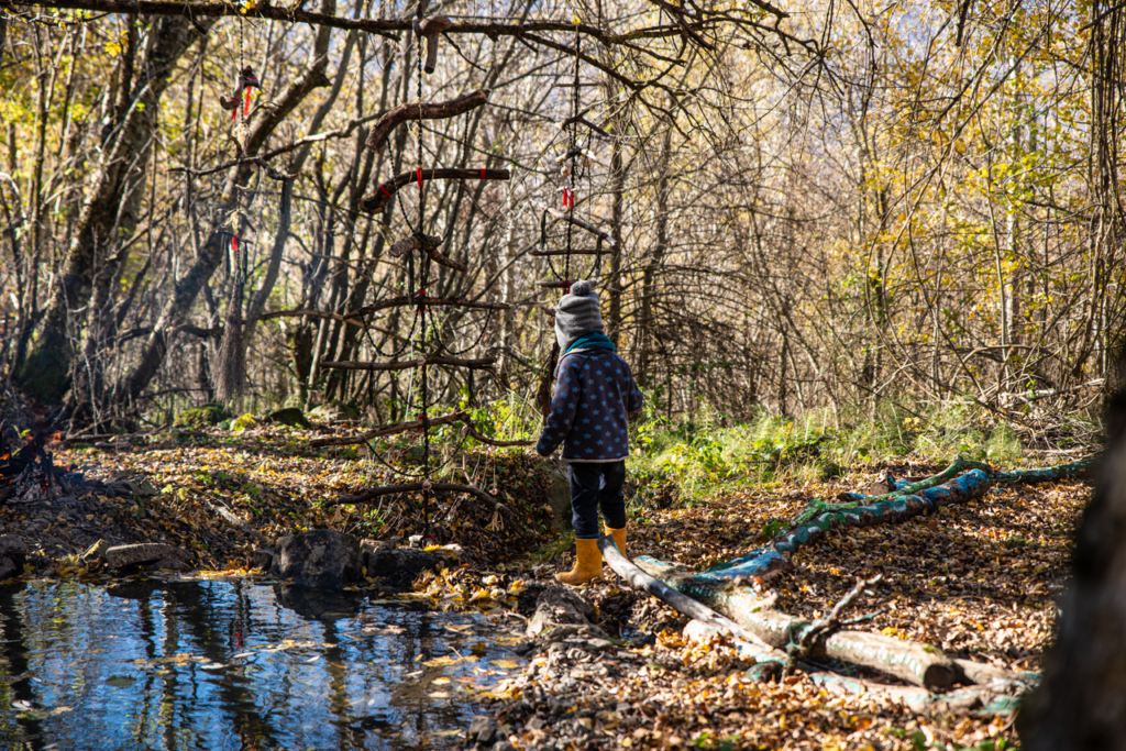 pexels photo 29018164 A young child in warm clothing explores a forest stream on a sunny autumn day.