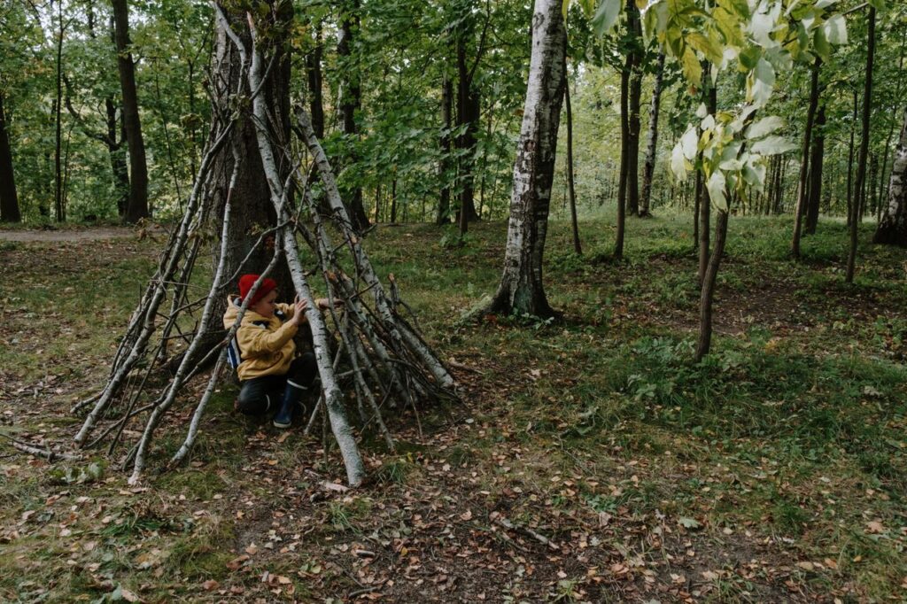 pexels photo 6034408 Young boy creating a stick shelter in a lush green forest, highlighting outdoor adventure.